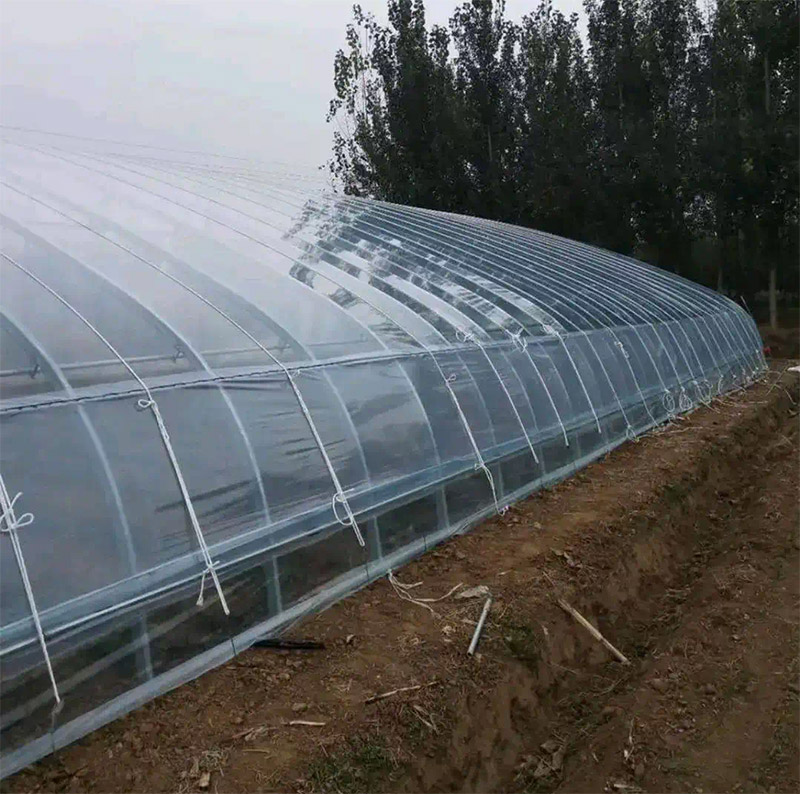 种植葡萄专用棚膜